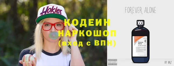 молекула духа Алзамай