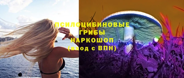 молекула духа Алзамай