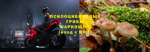 молекула духа Алзамай
