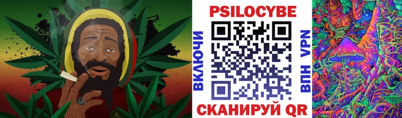 Псилоцибиновые грибы Cubensis Светлоград