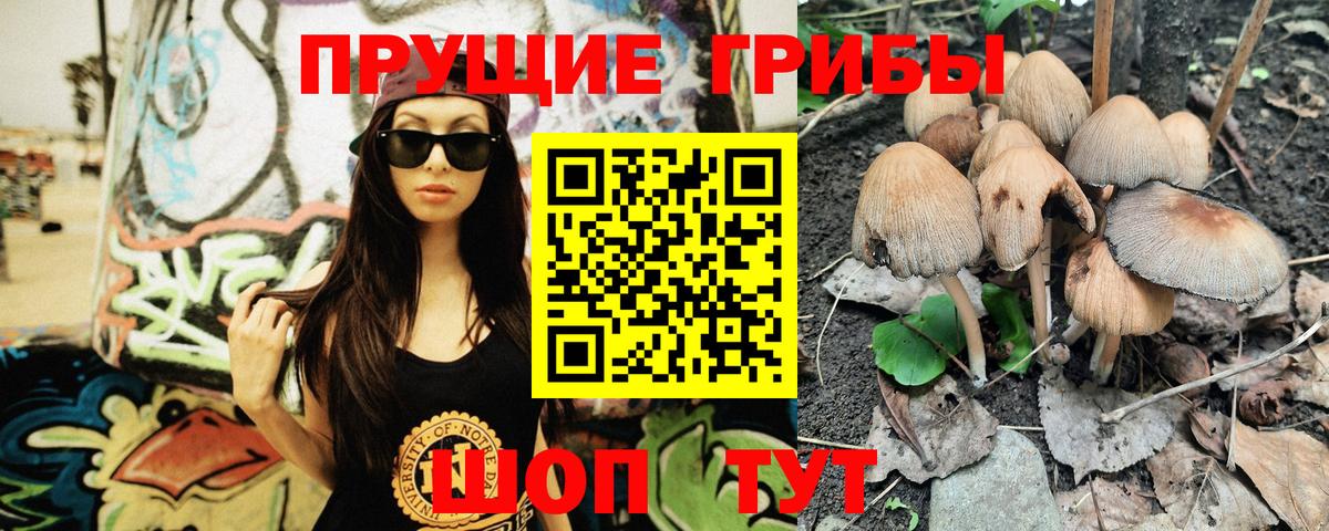 Псилоцибиновые грибы мицелий Светлоград