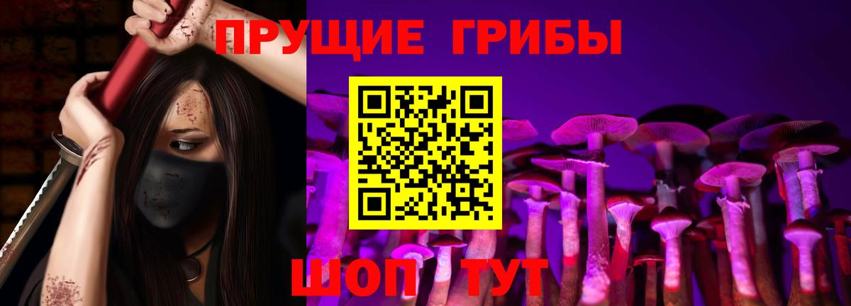 Псилоцибиновые грибы ЛСД  Вход с VPN  Светлоград  Псилоцибиновые грибы Psilocybe 