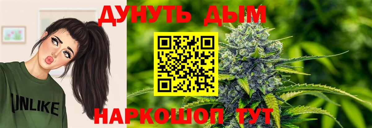 Бошки марихуана сатива Светлоград